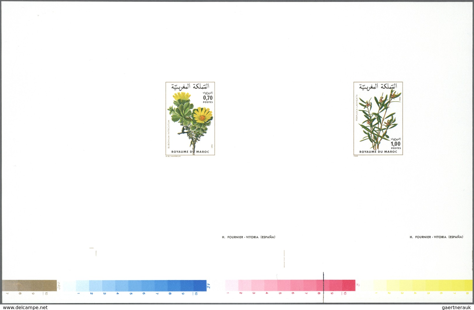 ** Thematik: Flora, Botanik / Flora, Botany, Bloom: 1980/1981, MAROKKO: Flowers 0.70dh. 'Bubonium Intri - Autres & Non Classés