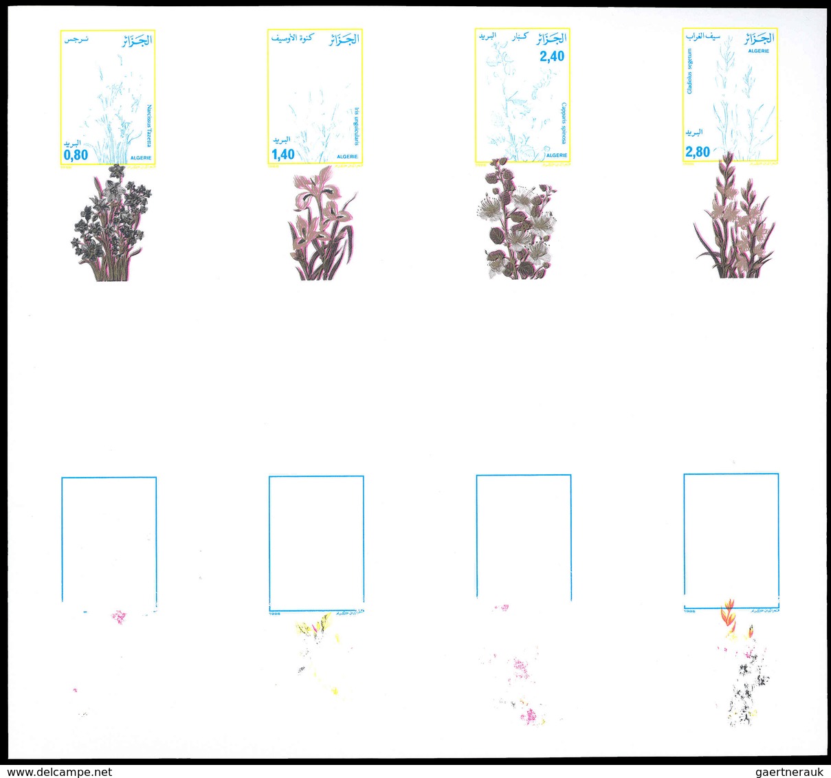 ** Thematik: Flora, Botanik / Flora, Botany, Bloom: 1986, Algeria: FLORA, Narcissus Tazetta, Iris Nguic - Autres & Non Classés