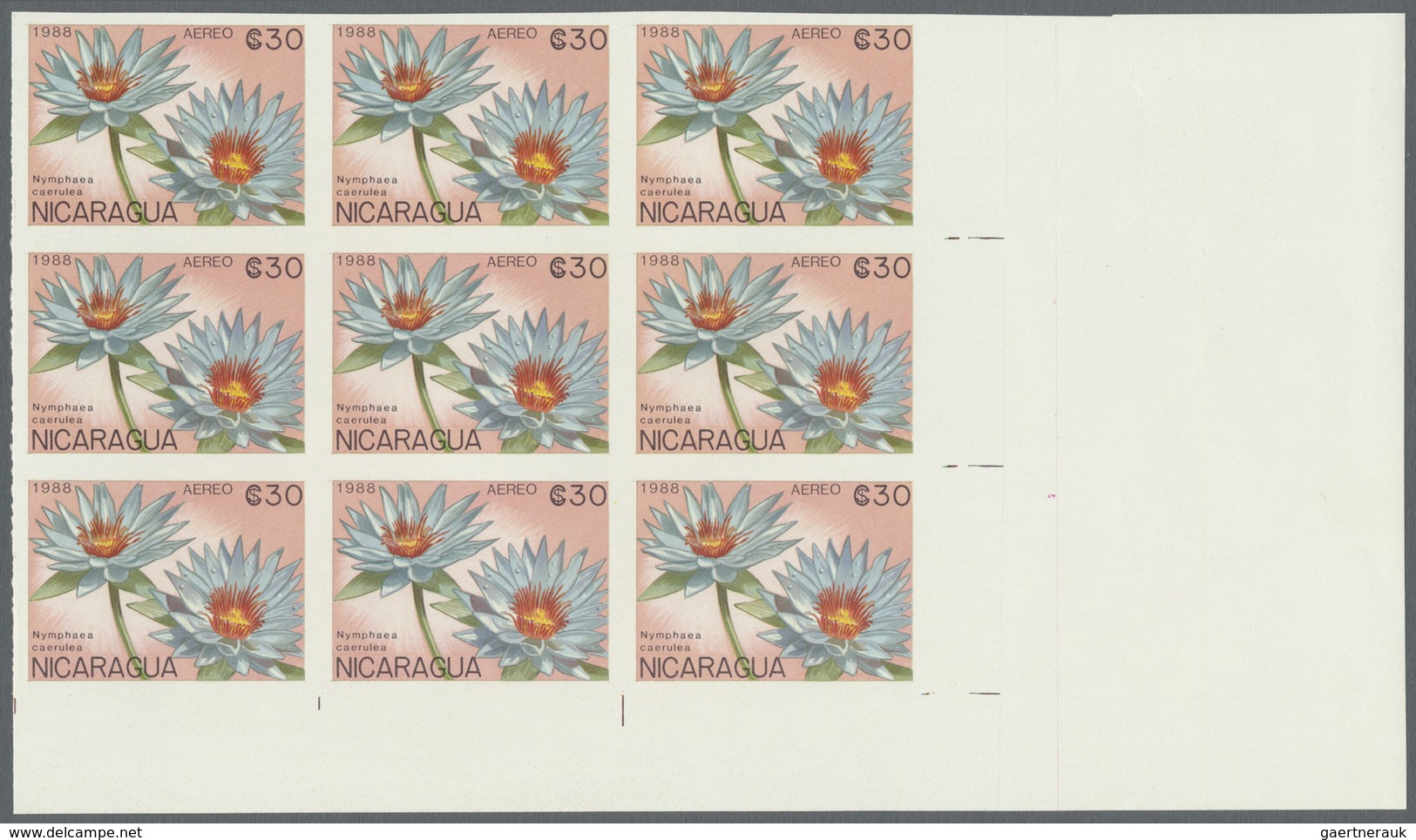 ** Thematik: Flora, Botanik / Flora, Botany, Bloom: 1988, NICARAGUA: Flowers And Plants Complete Set Of - Other & Unclassified