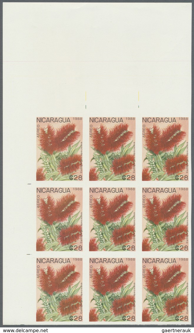 ** Thematik: Flora, Botanik / Flora, Botany, Bloom: 1988, NICARAGUA: Flowers And Plants Complete Set Of - Other & Unclassified