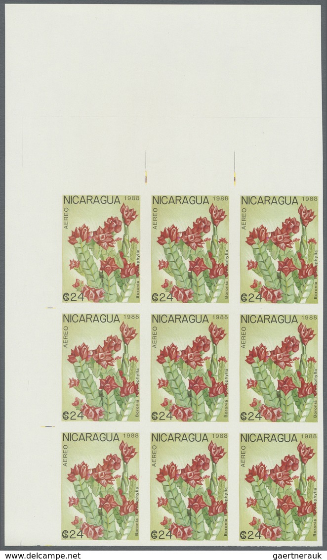 ** Thematik: Flora, Botanik / Flora, Botany, Bloom: 1988, NICARAGUA: Flowers And Plants Complete Set Of - Andere & Zonder Classificatie