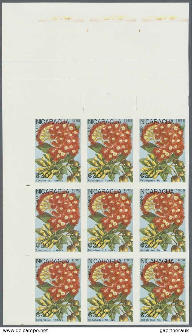 ** Thematik: Flora, Botanik / Flora, Botany, Bloom: 1988, NICARAGUA: Flowers And Plants Complete Set Of - Other & Unclassified