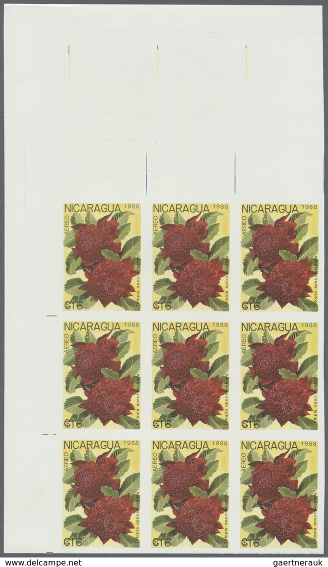 ** Thematik: Flora, Botanik / flora, botany, bloom: 1988, NICARAGUA: flowers and plants complete set of