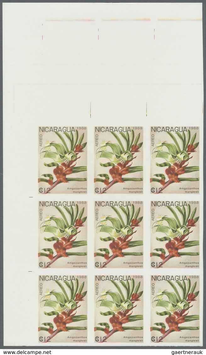 ** Thematik: Flora, Botanik / flora, botany, bloom: 1988, NICARAGUA: flowers and plants complete set of