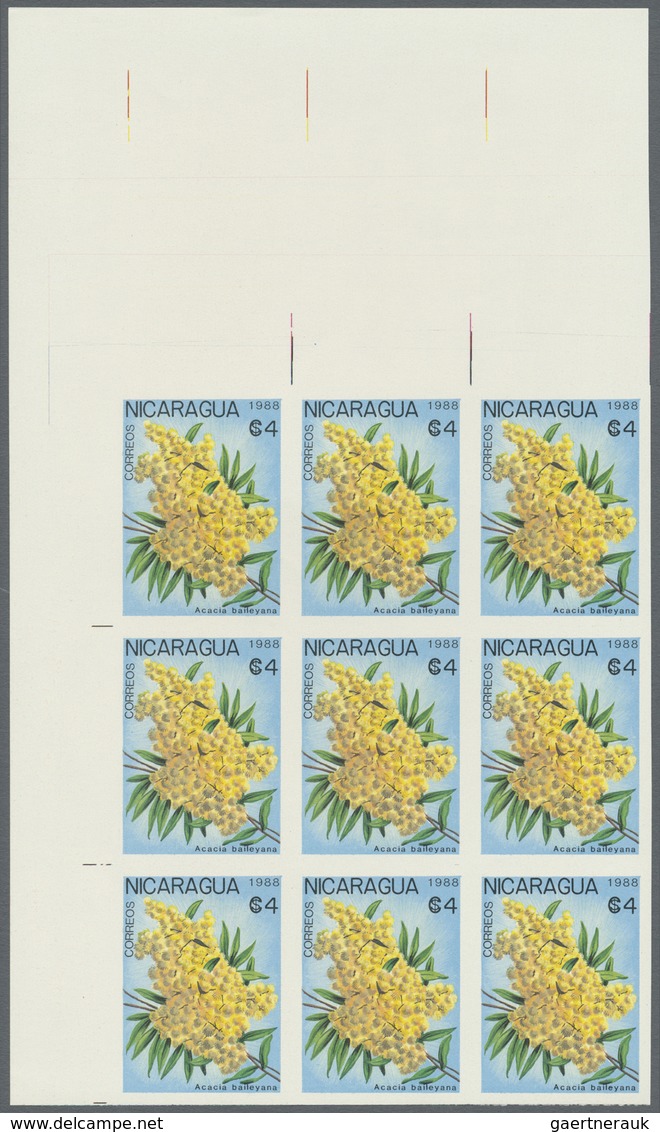 ** Thematik: Flora, Botanik / flora, botany, bloom: 1988, NICARAGUA: flowers and plants complete set of