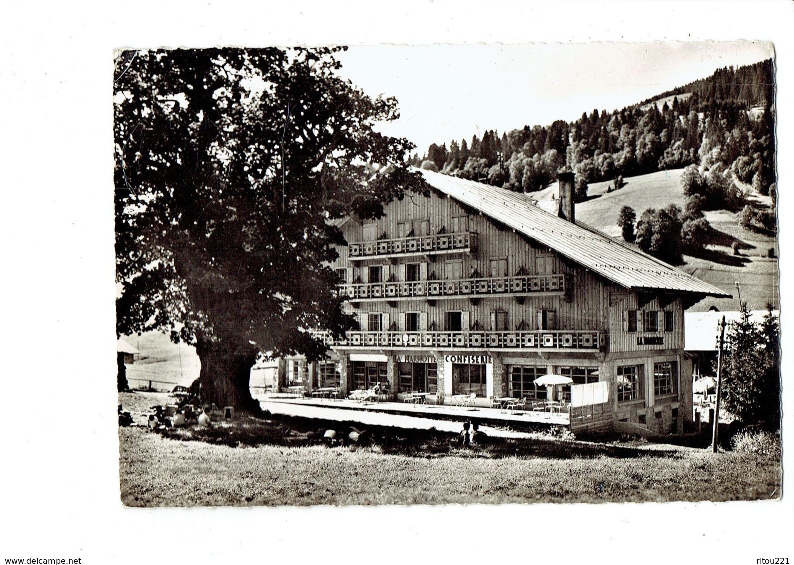 Cpm - 74 - Les Gets - HOTEL LA MARMOTTE Et Chêne Millénaire - Arbre - Confiserie - Groupe D'enfants Assis Dans L'herbe - Les Gets