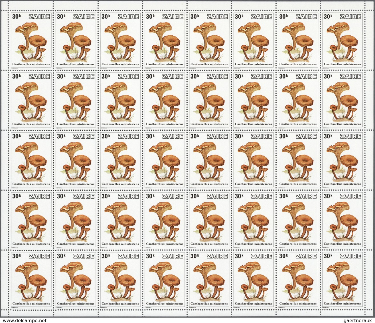 ** Thematik: Pilze / mushrooms: 1979, ZAIRE: mushrooms complete set of eight values in complete panes o