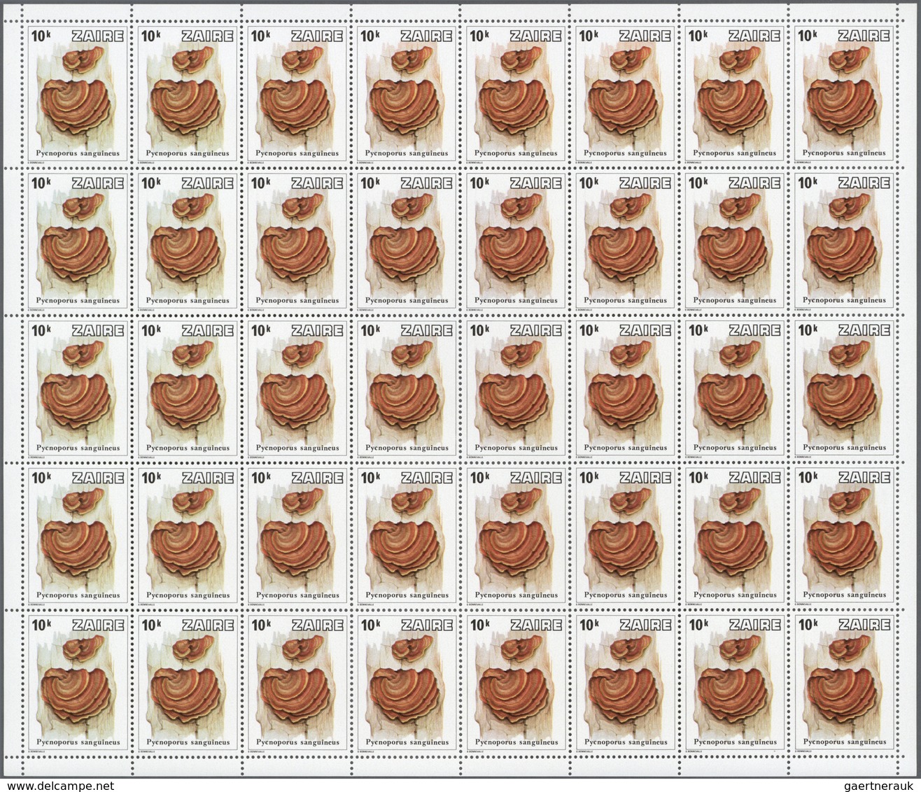 ** Thematik: Pilze / mushrooms: 1979, ZAIRE: mushrooms complete set of eight values in complete panes o