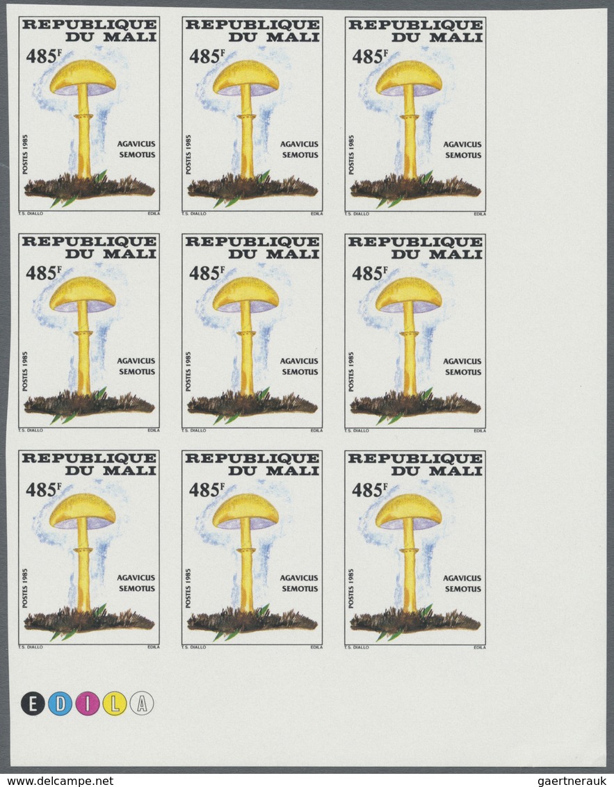 ** Thematik: Pilze / Mushrooms: 1985, MALI: Mushrooms Complete Set Of Four Values In IMPERFORATE Blocks - Pilze