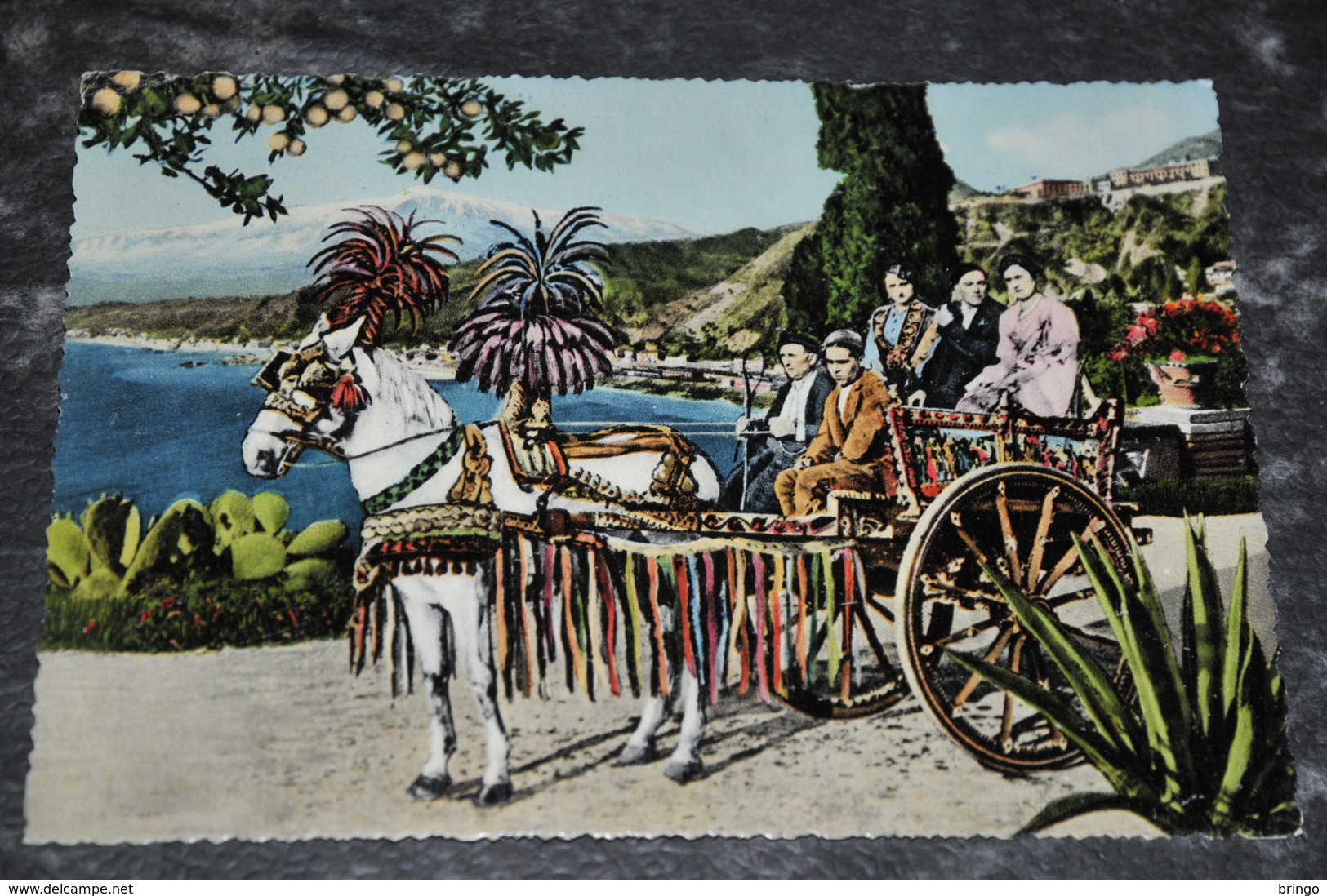 1441-  Carro Siciliano / HORSE, HORSES, PAARDEN, PFERDE, CHEVAUX, CABALLOS, CAVALLI - Cavalli