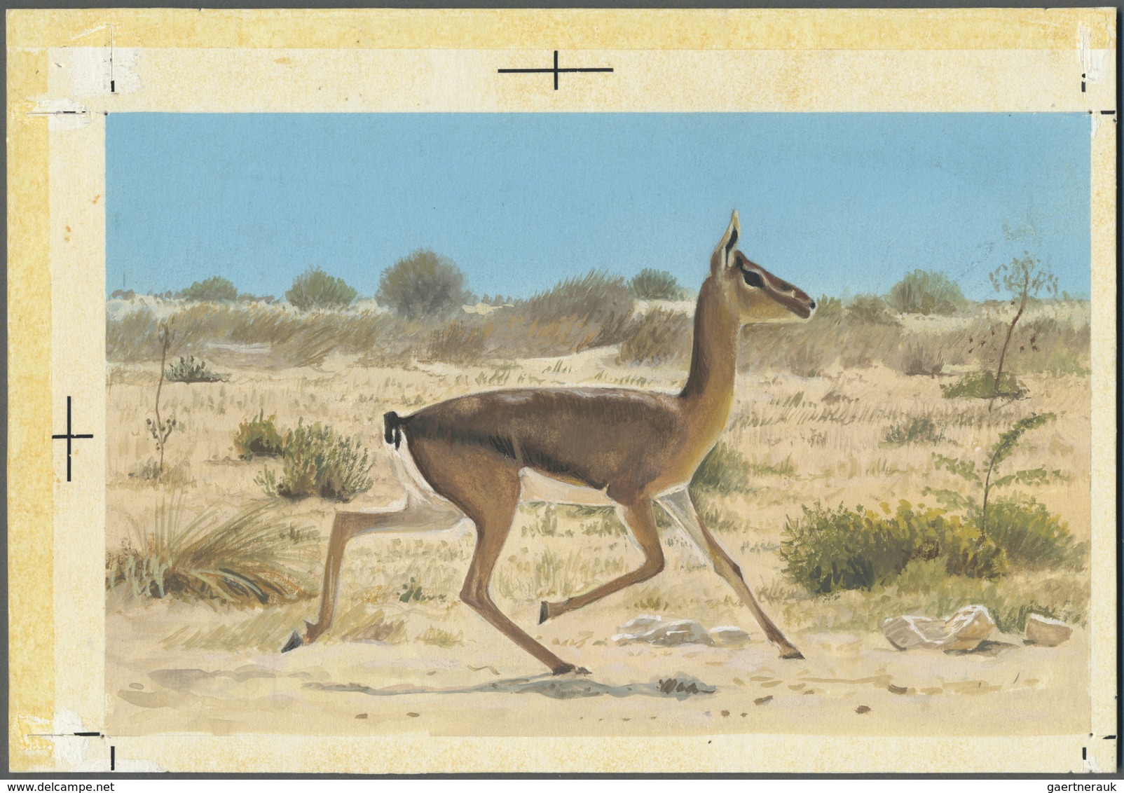 Thematik: Tiere, Fauna / Animals, Fauna: 1982, Bahrain. Artist's Drawing For The First 100f Value Of - Autres & Non Classés