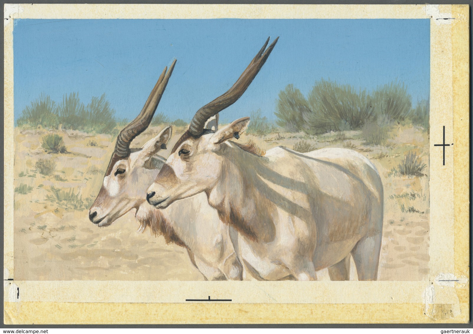 Thematik: Tiere, Fauna / Animals, Fauna: 1982, Bahrain. Artist's Drawing For The Sixth 100f Value Of - Autres & Non Classés