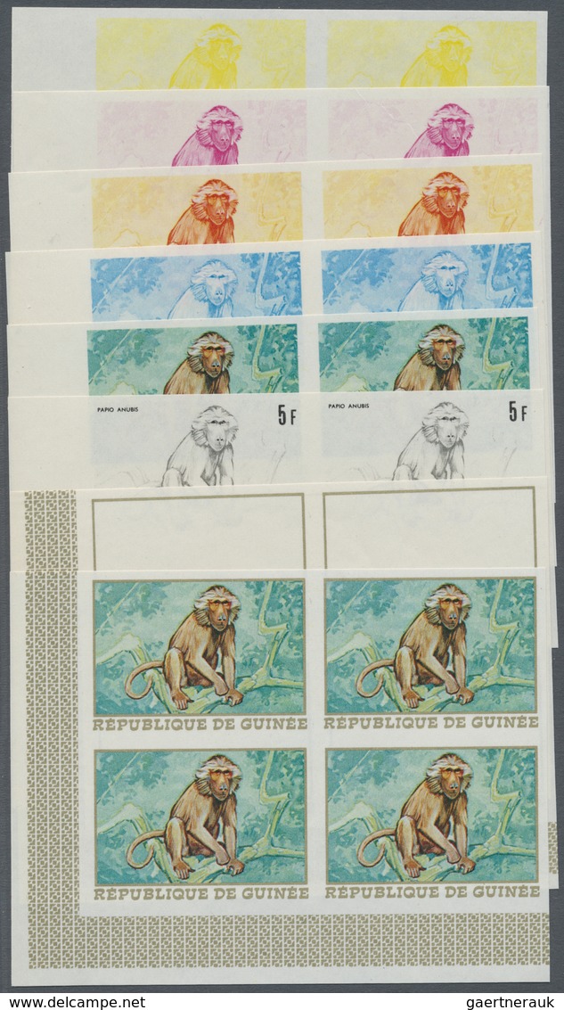 ** Thematik: Tiere-Affen / Animals-monkeys: 1968, Guinea. Extraordinary Progressive Color Proof (8 Phas - Apen