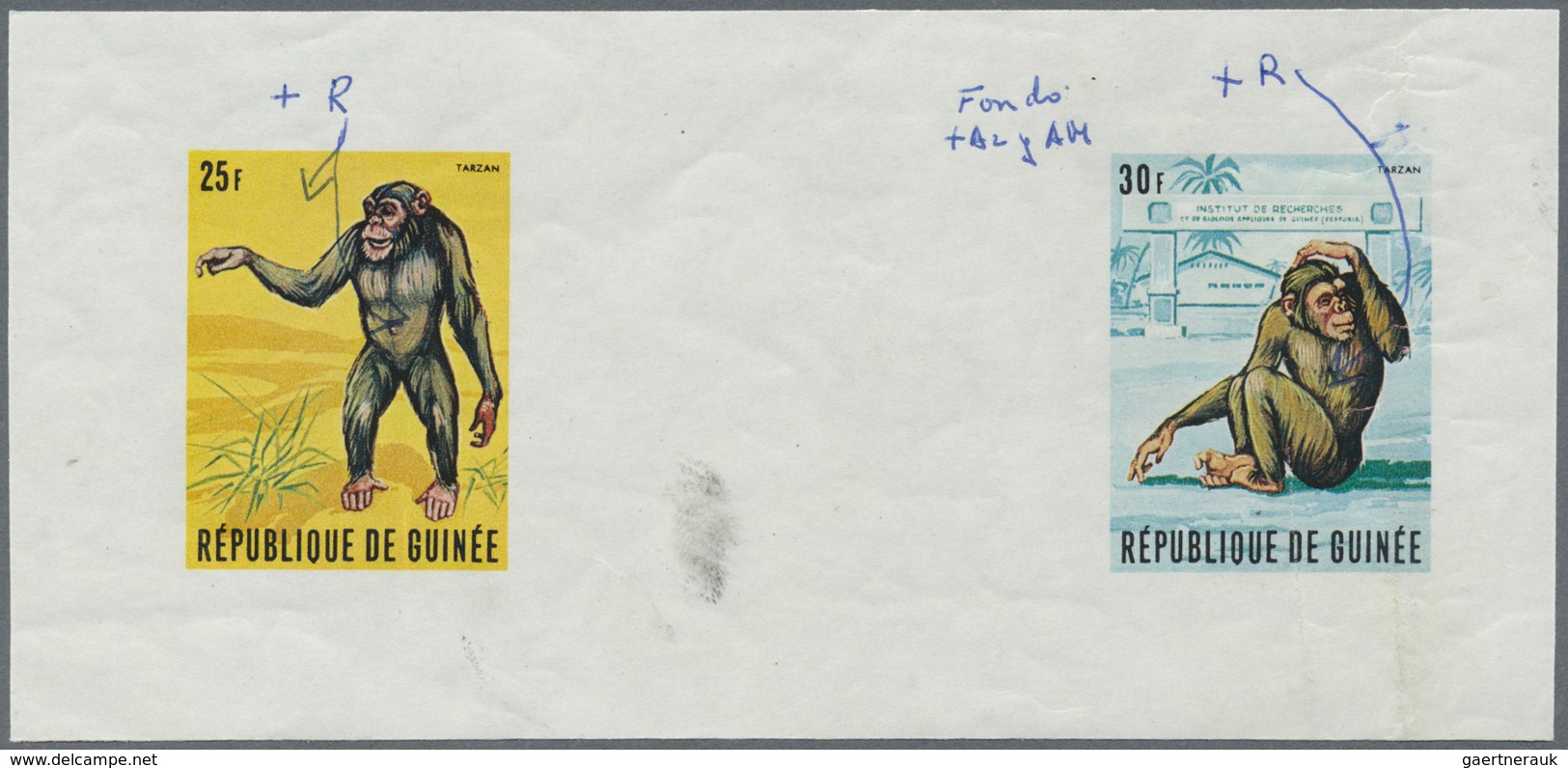 ** Thematik: Tiere-Affen / Animals-monkeys: 1969, Guinea. Imperforate Proofs In Issued Colors For The C - Singes