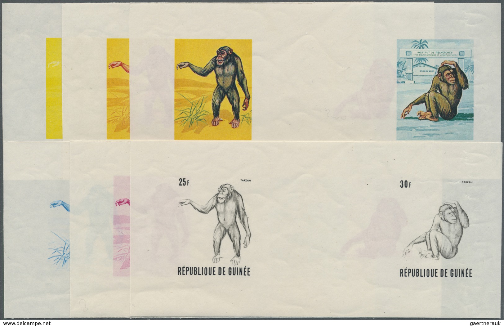 ** Thematik: Tiere-Affen / Animals-monkeys: 1969, GUINEA: Chimpanzee 'Tarzan' Complete Set Of Four Valu - Apen