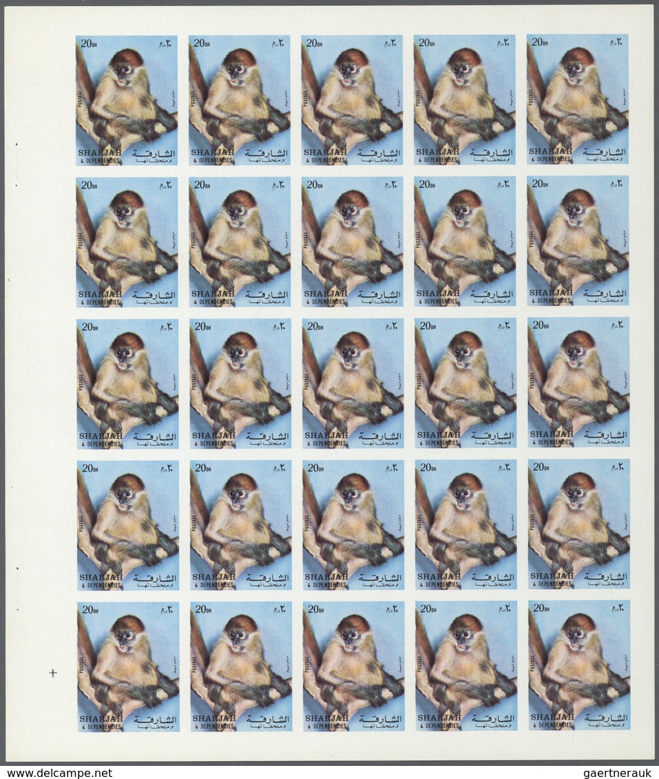 ** Thematik: Tiere-Affen / Animals-monkeys: 1972. Sharjah. Progressive Proof (5 Phases) In Complete She - Apen