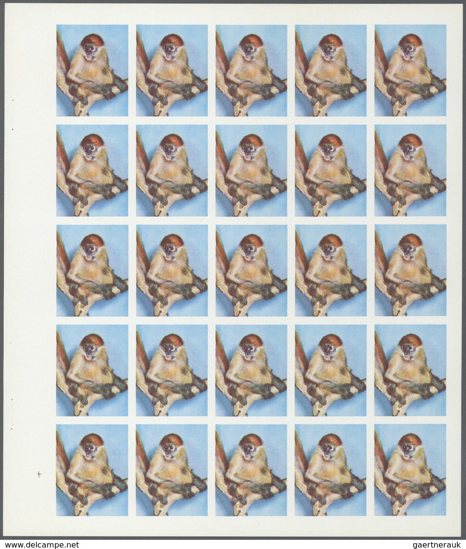 ** Thematik: Tiere-Affen / Animals-monkeys: 1972. Sharjah. Progressive Proof (5 Phases) In Complete She - Singes