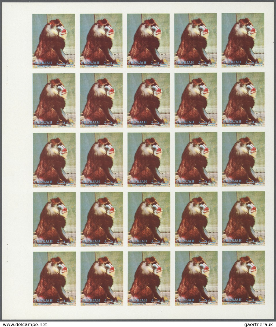 ** Thematik: Tiere-Affen / Animals-monkeys: 1972. Sharjah. Progressive Proof (5 Phases) In Complete She - Apen