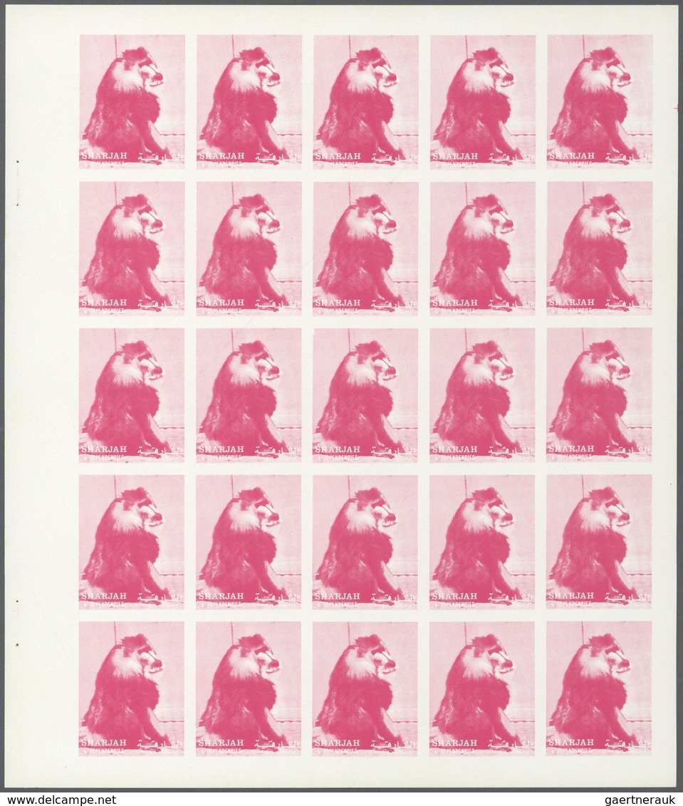 ** Thematik: Tiere-Affen / Animals-monkeys: 1972. Sharjah. Progressive Proof (5 Phases) In Complete She - Apen