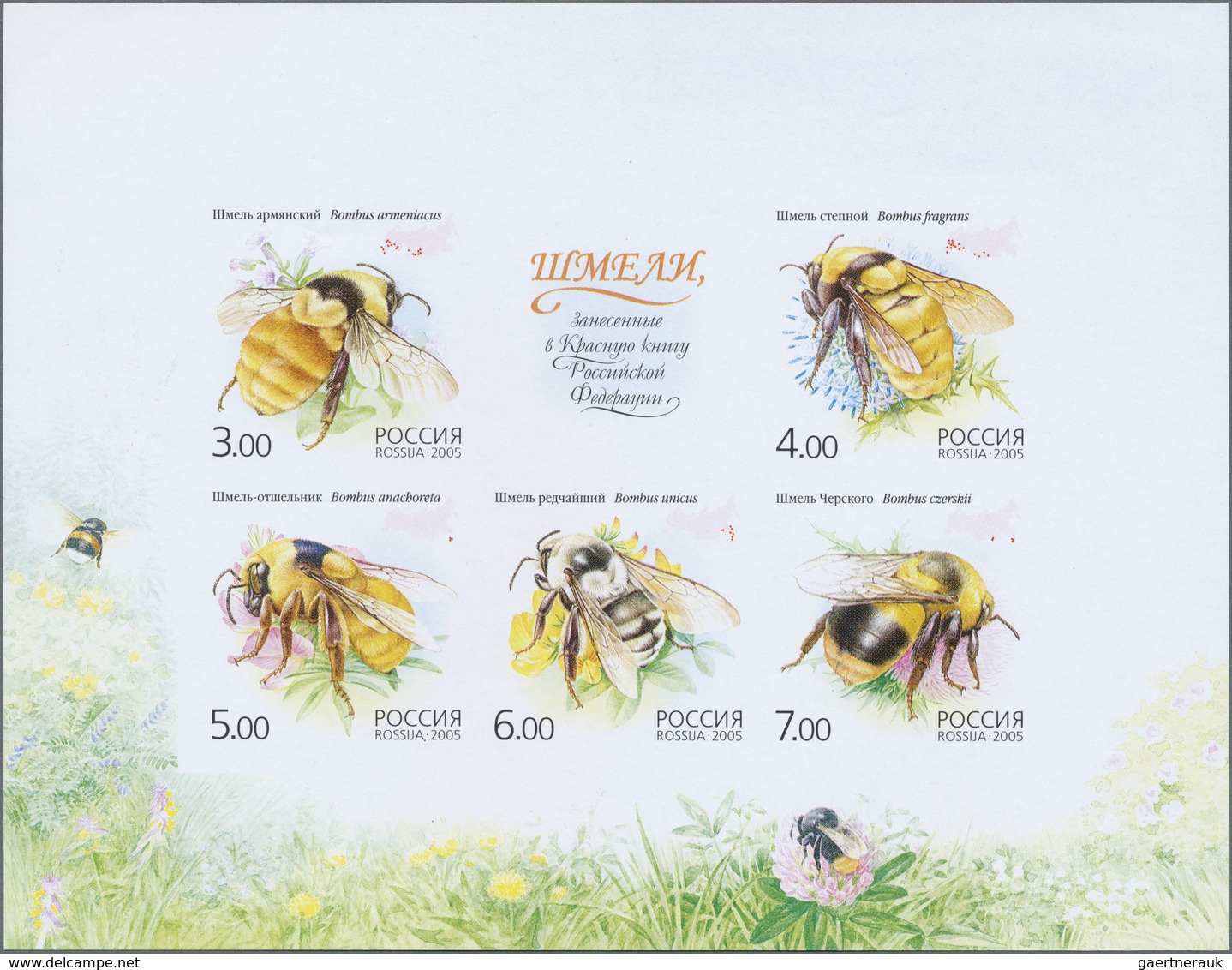 ** Thematik: Tiere-Bienen / Animals-bees: 2005, Russia. IMPERFORATE Souvenir Sheet Of 5 (+ 1 Label) Sho - Abeilles