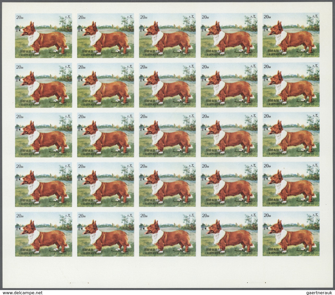 ** Thematik: Tiere-Hunde / Animals-dogs: 1972. Sharjah. Progressive Proof (6 Phases) In Complete Sheets - Honden