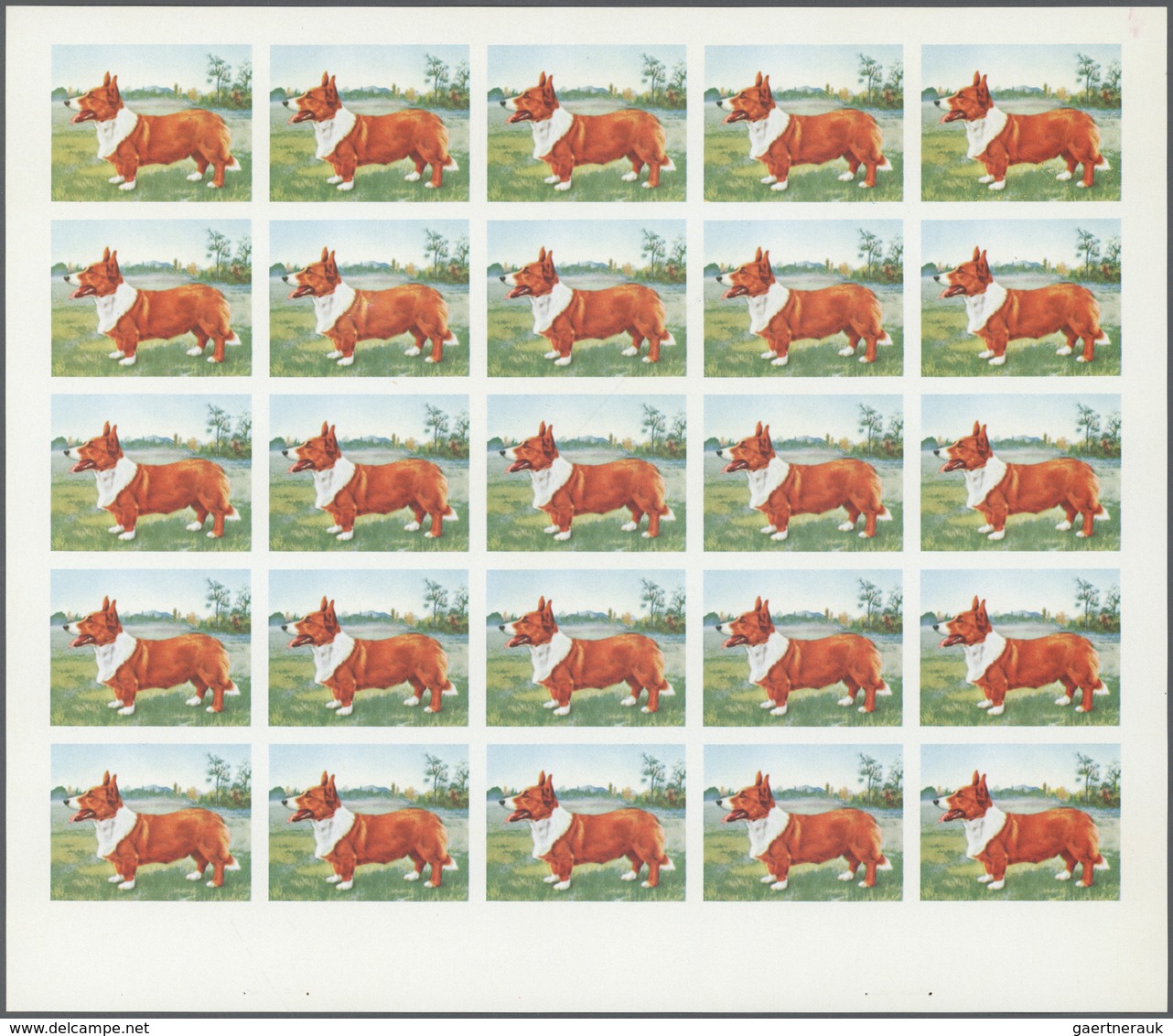 ** Thematik: Tiere-Hunde / Animals-dogs: 1972. Sharjah. Progressive Proof (6 Phases) In Complete Sheets - Honden