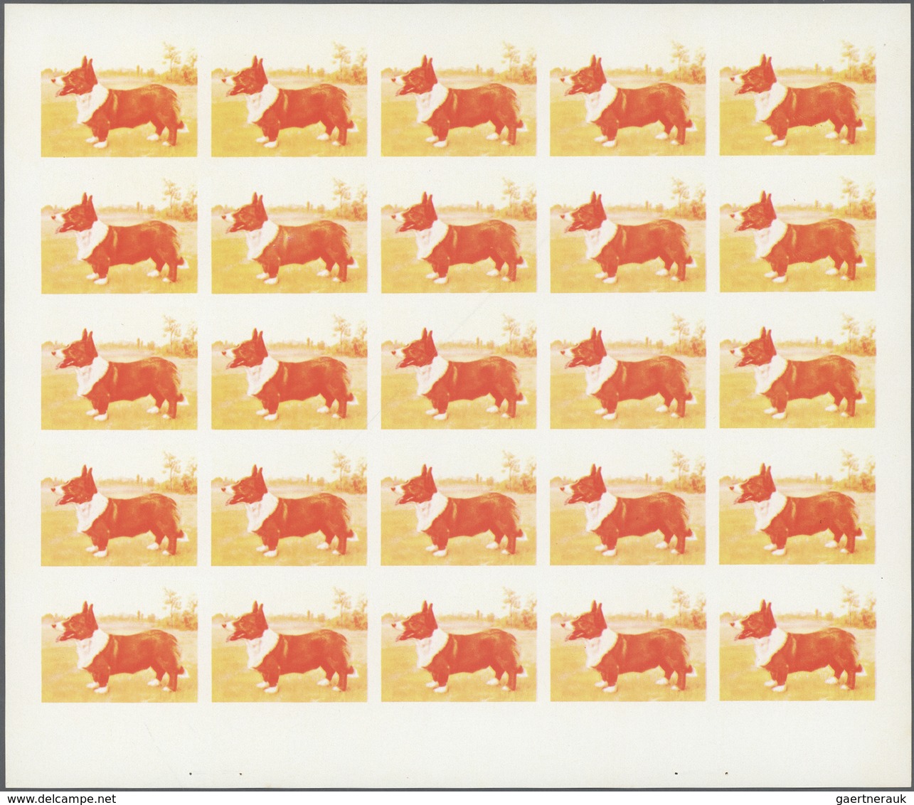 ** Thematik: Tiere-Hunde / Animals-dogs: 1972. Sharjah. Progressive Proof (6 Phases) In Complete Sheets - Chiens