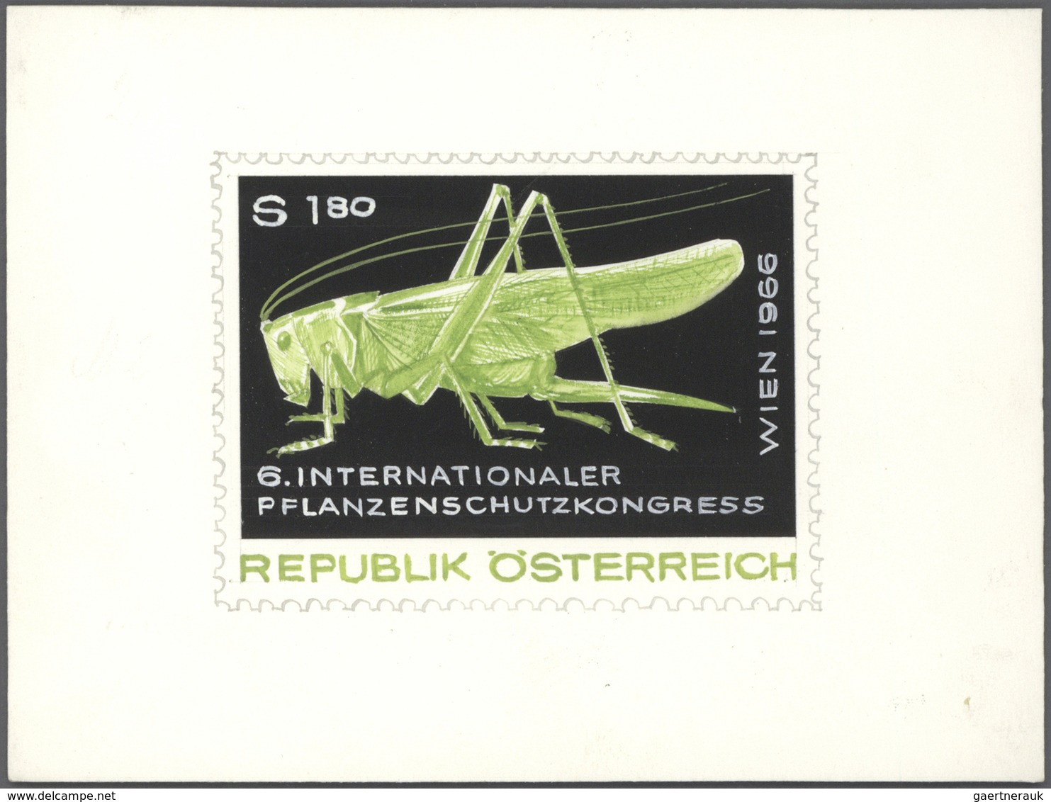 Thematik: Tiere-Insekten / Animals-insects: 1967, Austria. Group Of 7 Different, Original Artist's P - Other & Unclassified