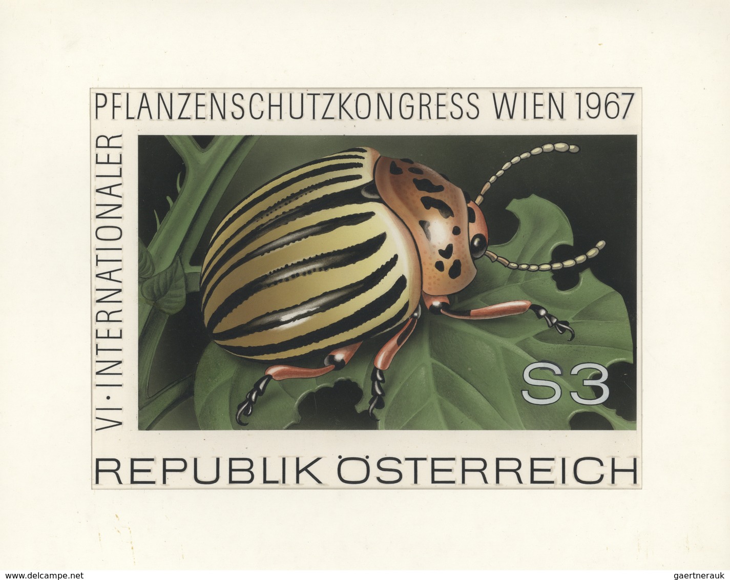 Thematik: Tiere-Insekten / Animals-insects: 1967, Austria. Original Artist's Painting By Prof. Otto - Andere & Zonder Classificatie