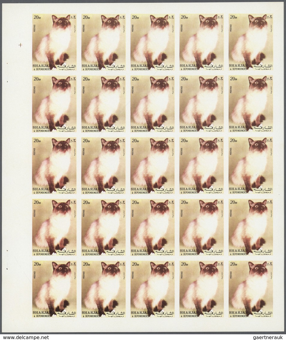 ** Thematik: Tiere-Katzen / Animals-cats: 1972. Sharjah. Progressive Proof (6 Phases) In Complete Sheet - Chats Domestiques