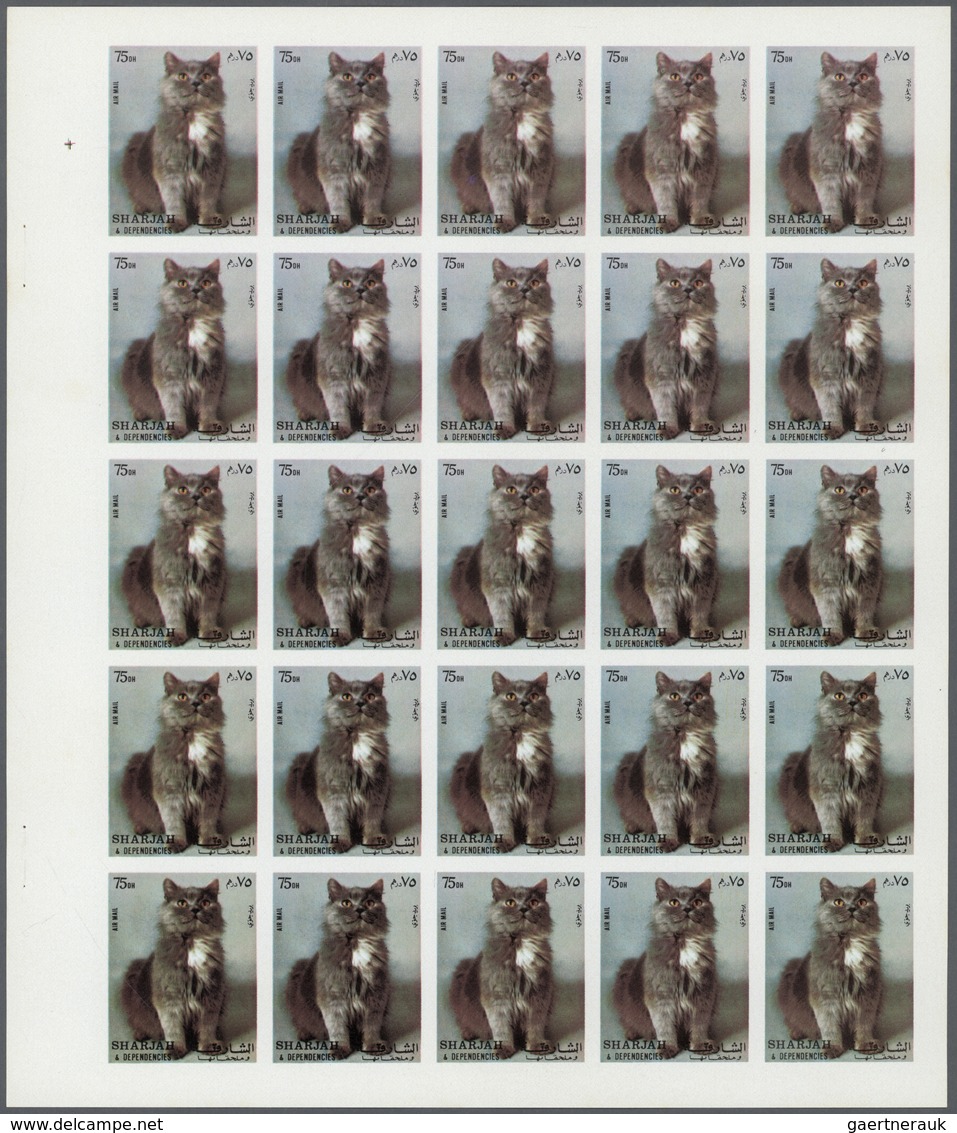 ** Thematik: Tiere-Katzen / Animals-cats: 1972. Sharjah. Progressive Proof (7 Phases) In Complete Sheet - Domestic Cats