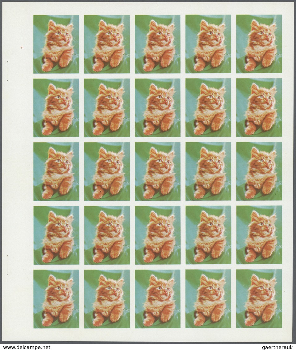 ** Thematik: Tiere-Katzen / Animals-cats: 1972. Sharjah. Progressive Proof (6 Phases) In Complete Sheet - Chats Domestiques