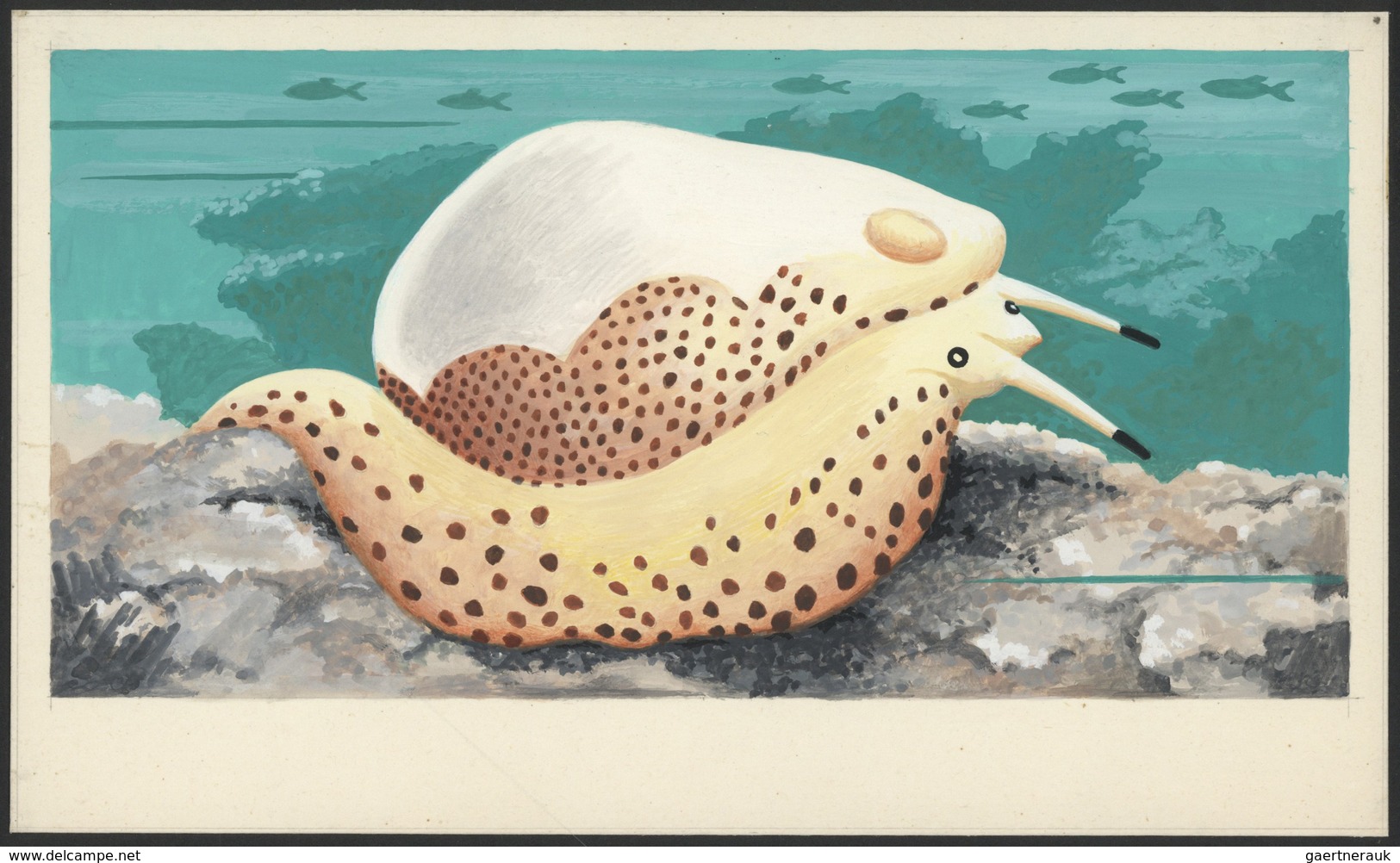 Thematik: Tiere-Meerestiere / Animals-sea Animals: 1972. Umm Al Qaiwain, Artist's Drawing For The 5d - Maritiem Leven