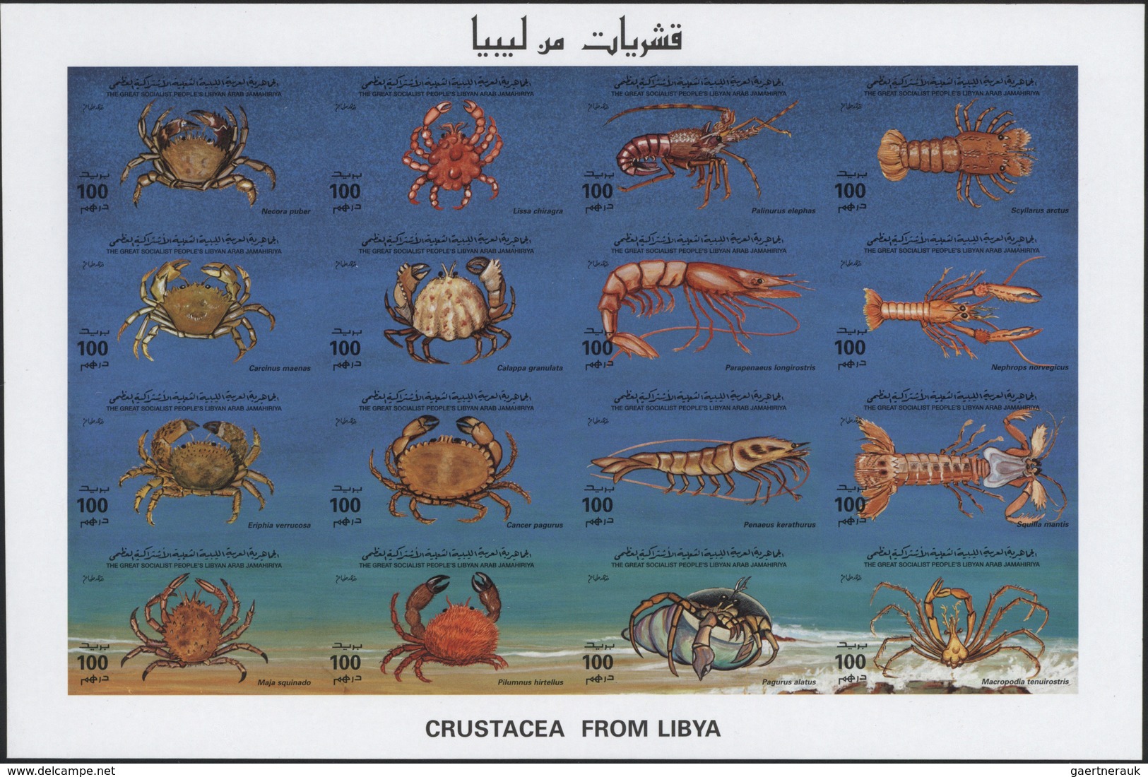 ** Thematik: Tiere-Meerestiere / Animals-sea Animals: 1996, Libya, Crustaceans, Se-tenant Sheet And Sev - Marine Life