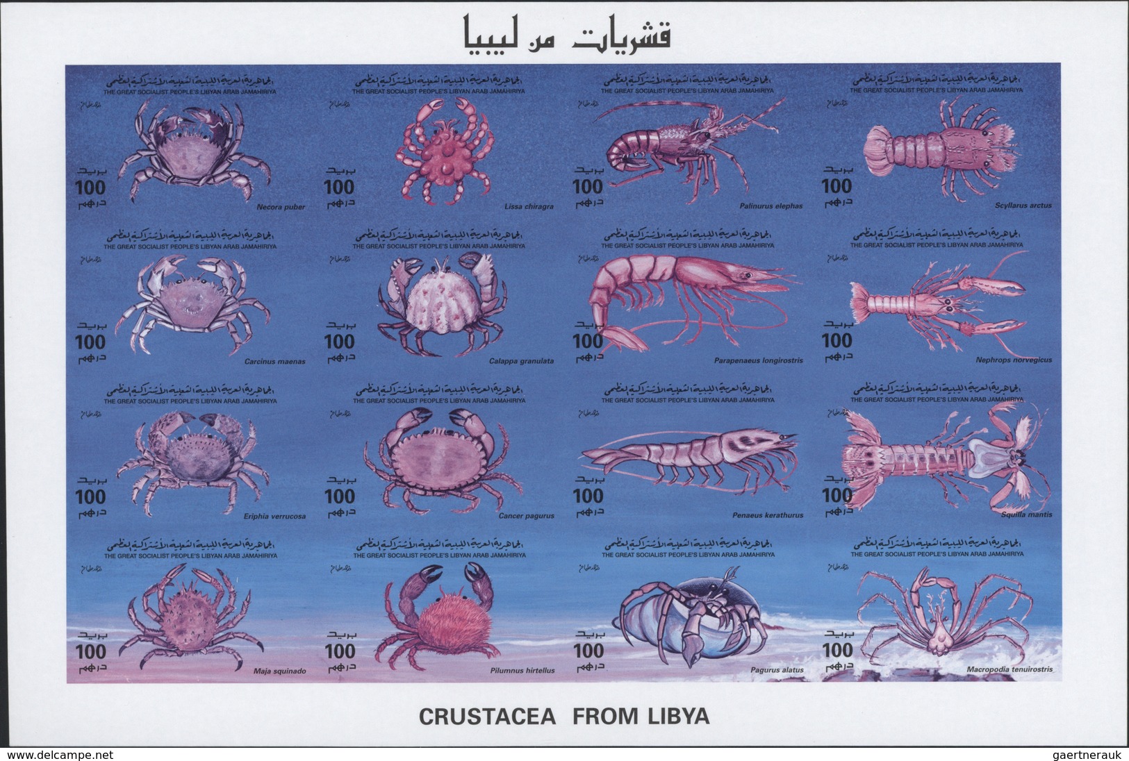 ** Thematik: Tiere-Meerestiere / Animals-sea Animals: 1996, Libya, Crustaceans, Se-tenant Sheet And Sev - Vie Marine