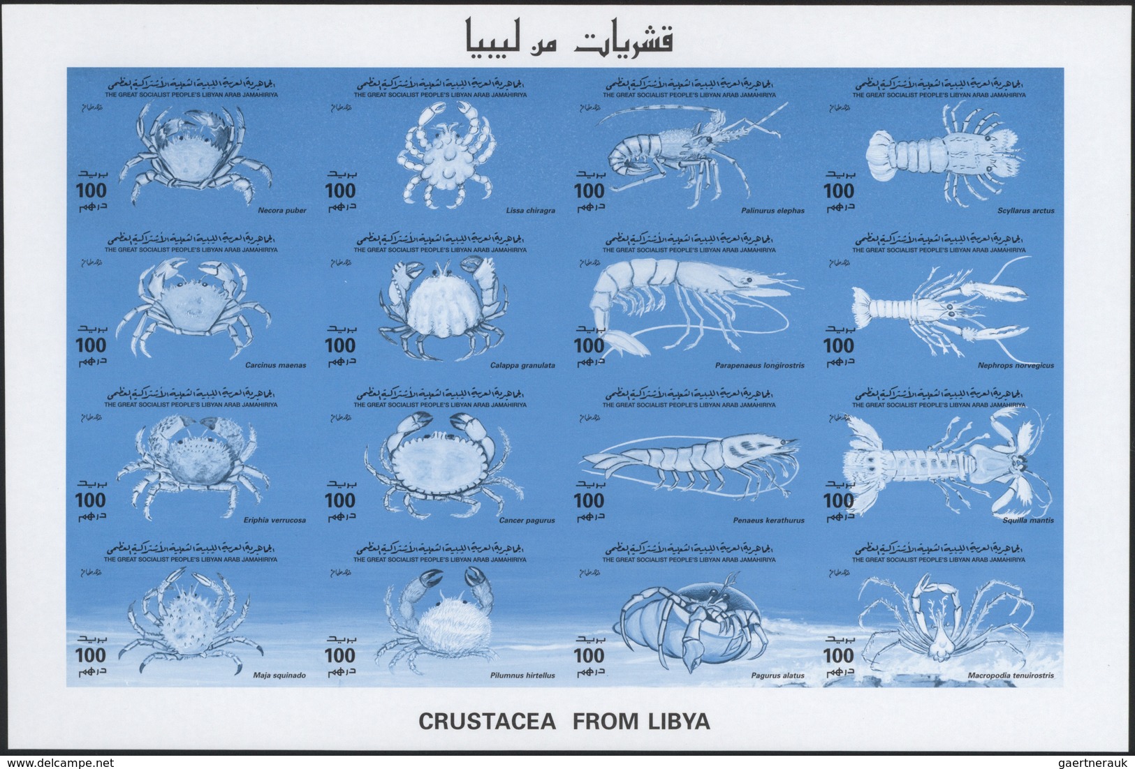 ** Thematik: Tiere-Meerestiere / Animals-sea Animals: 1996, Libya, Crustaceans, Se-tenant Sheet And Sev - Marine Life