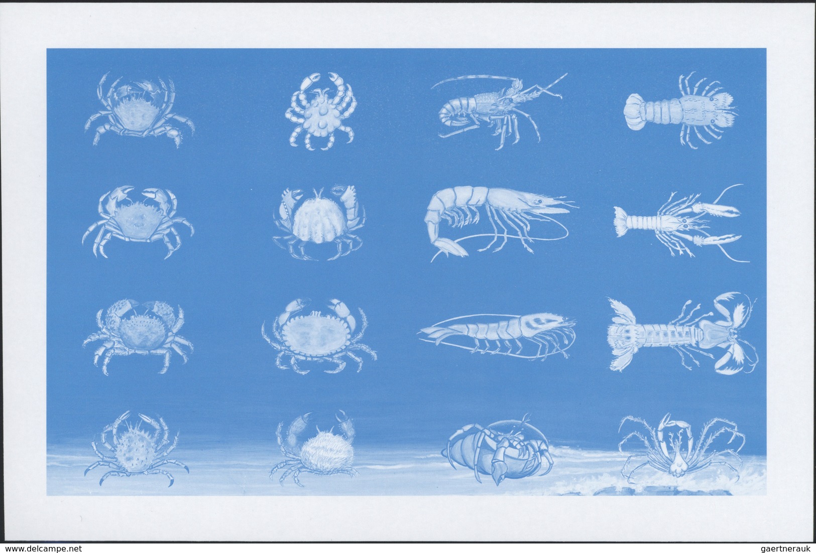 ** Thematik: Tiere-Meerestiere / Animals-sea Animals: 1996, Libya, Crustaceans, Se-tenant Sheet And Sev - Maritiem Leven