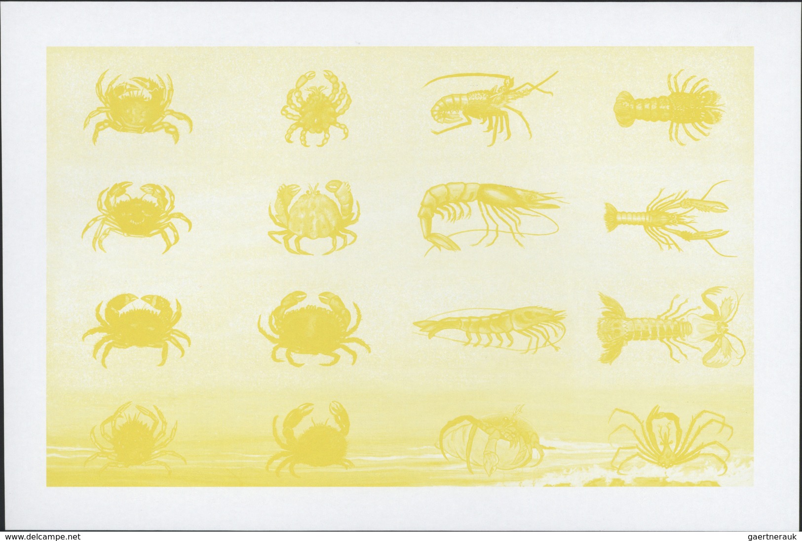 ** Thematik: Tiere-Meerestiere / animals-sea animals: 1996, Libya, Crustaceans, se-tenant sheet and sev