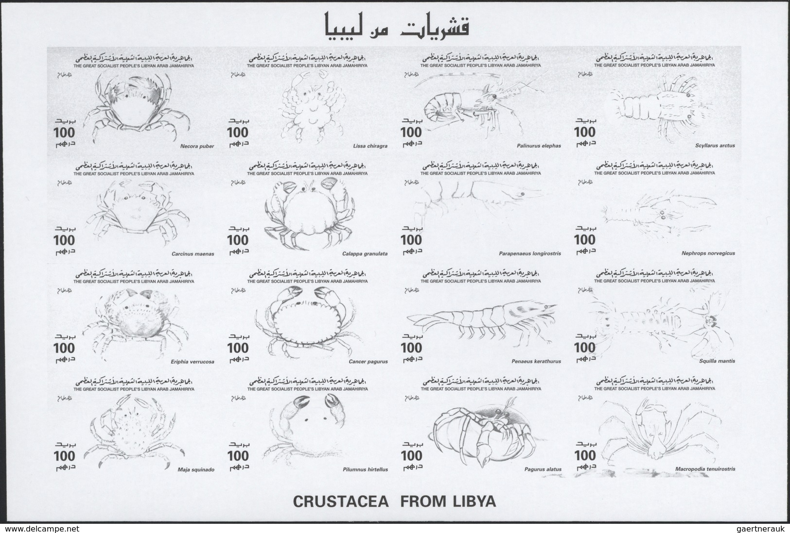 ** Thematik: Tiere-Meerestiere / animals-sea animals: 1996, Libya, Crustaceans, se-tenant sheet and sev