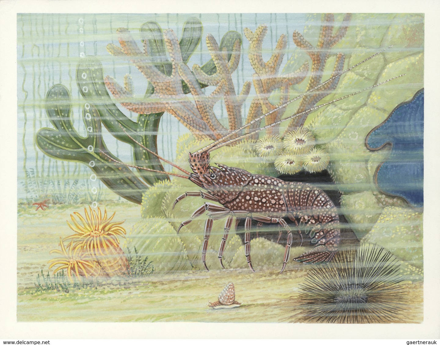 Thematik: Tiere-Meerestiere / Animals-sea Animals: 2003, St. Thomas And Prince Islands. Lot Of 2 Art - Marine Life