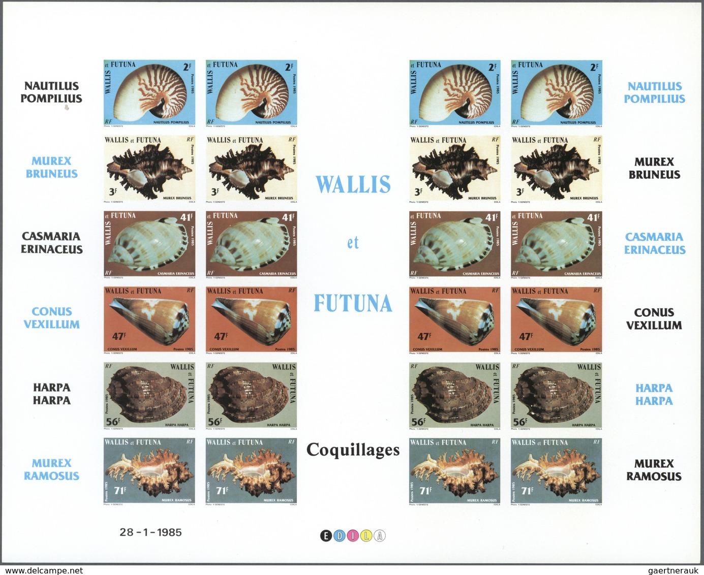 (*) Thematik: Tiere-Meerestiere-Muscheln / Animals-sea Animals-shells: 1985, WALLIS And FUTUNA: Conches - Coquillages