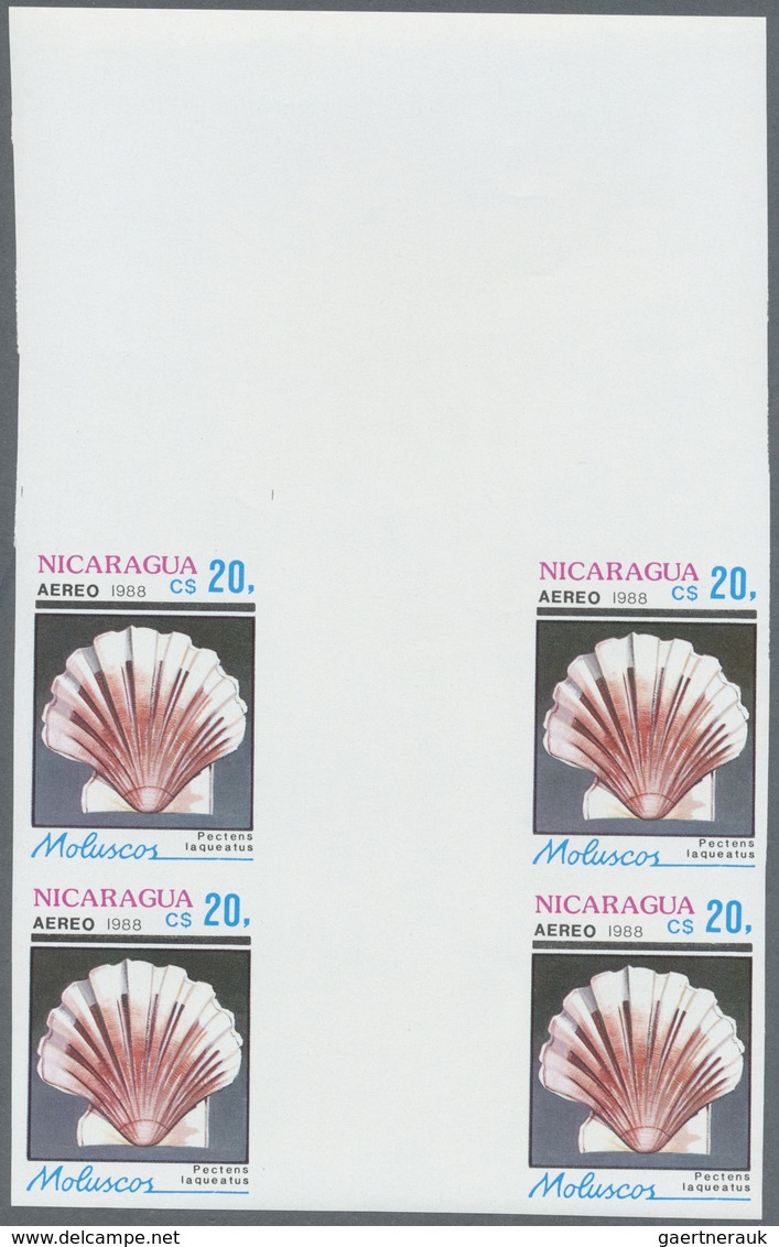** Thematik: Tiere-Meerestiere-Muscheln / Animals-sea Animals-shells: 1988, Nicaragua. Complete Set SHE - Coquillages