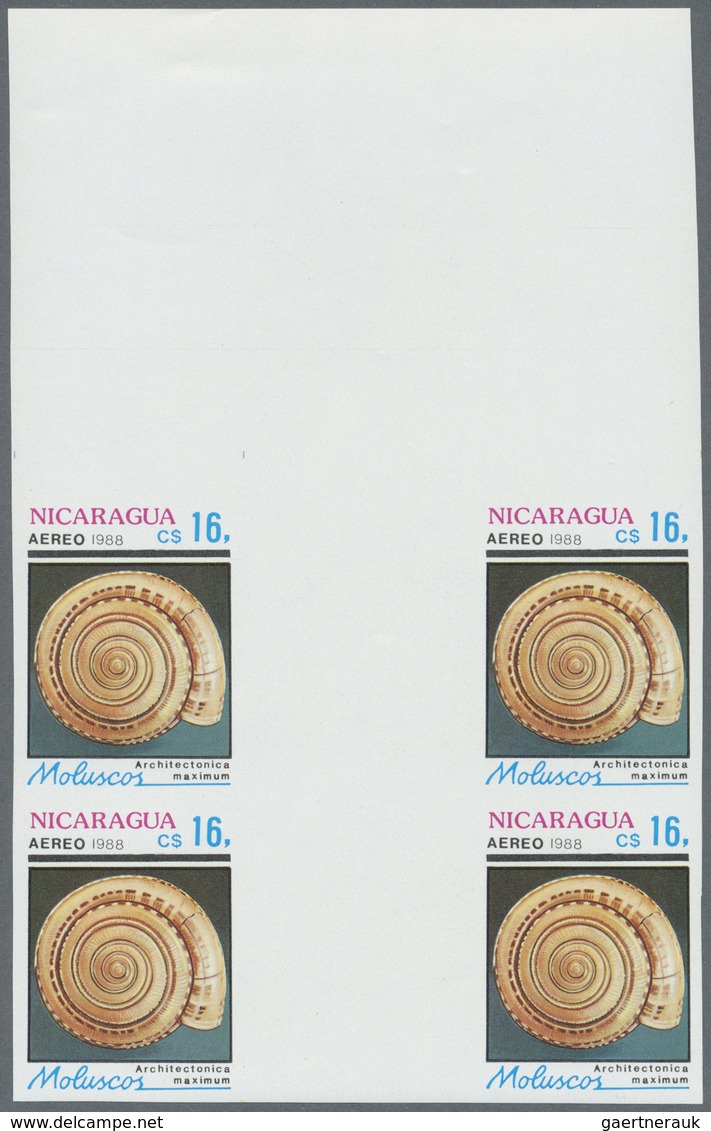 ** Thematik: Tiere-Meerestiere-Muscheln / Animals-sea Animals-shells: 1988, Nicaragua. Complete Set SHE - Coneshells