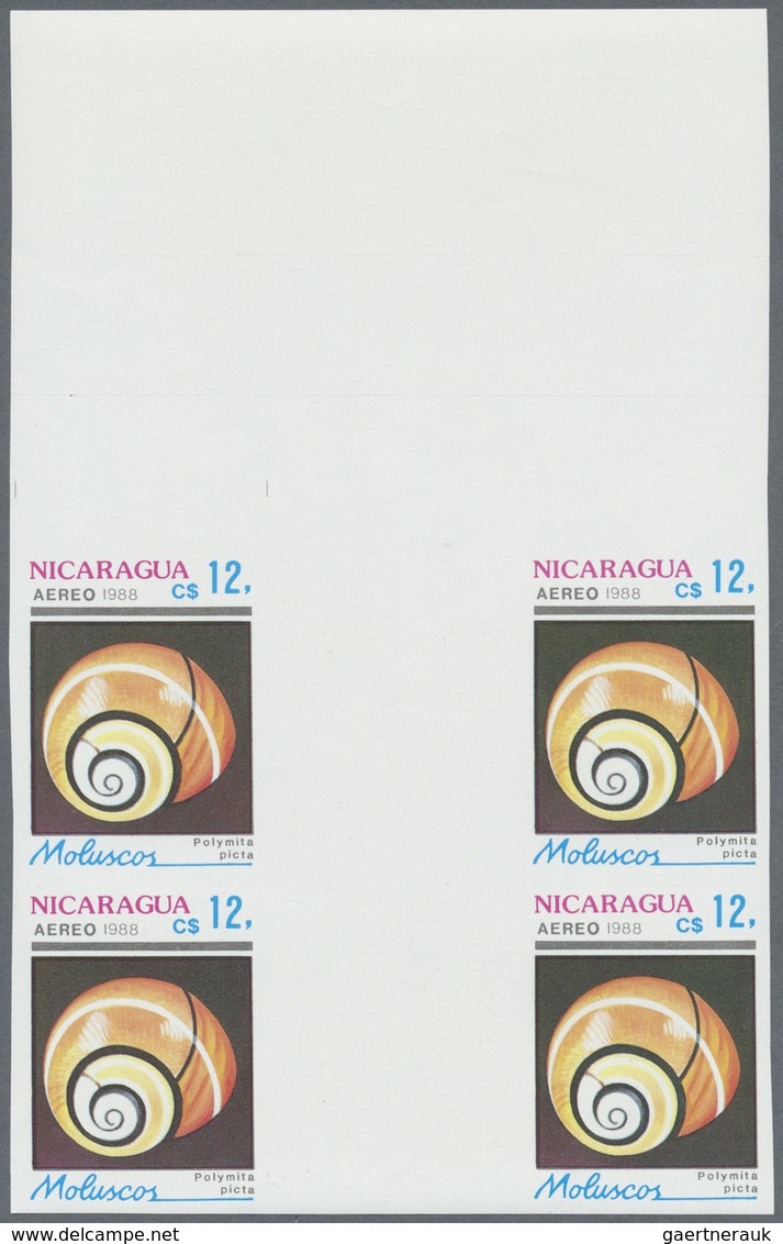 ** Thematik: Tiere-Meerestiere-Muscheln / Animals-sea Animals-shells: 1988, Nicaragua. Complete Set SHE - Schelpen