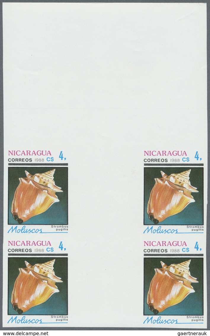** Thematik: Tiere-Meerestiere-Muscheln / Animals-sea Animals-shells: 1988, Nicaragua. Complete Set SHE - Coquillages