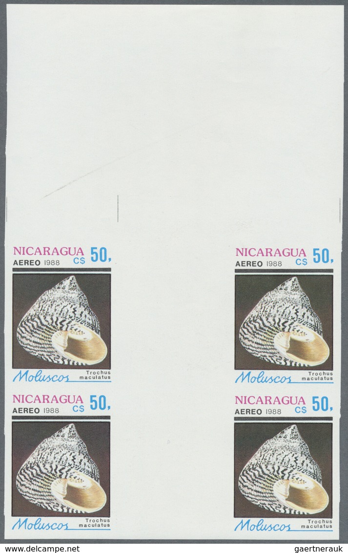 ** Thematik: Tiere-Meerestiere-Muscheln / Animals-sea Animals-shells: 1988, Nicaragua. Complete Set SHE - Coneshells