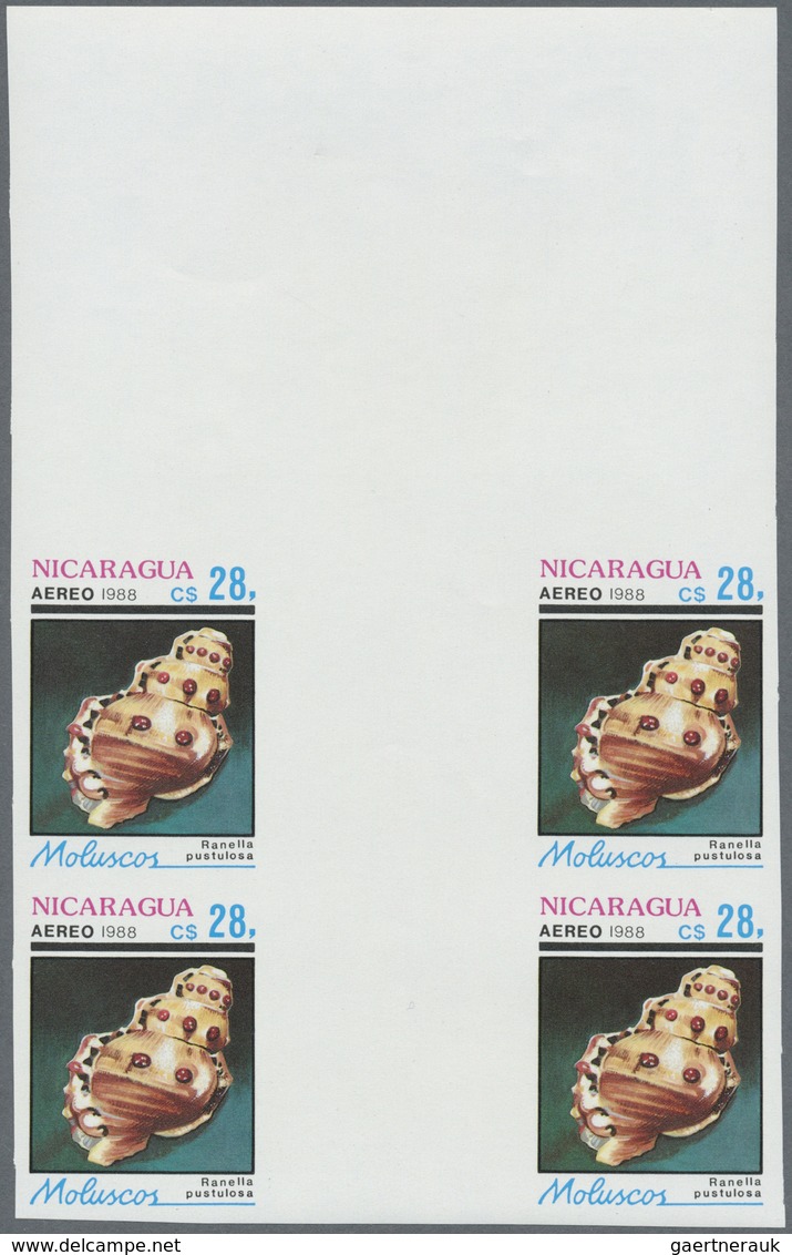 ** Thematik: Tiere-Meerestiere-Muscheln / animals-sea animals-shells: 1988, Nicaragua. Complete set SHE