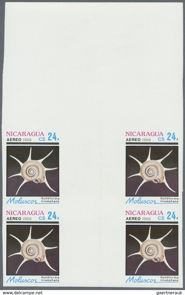** Thematik: Tiere-Meerestiere-Muscheln / animals-sea animals-shells: 1988, Nicaragua. Complete set SHE