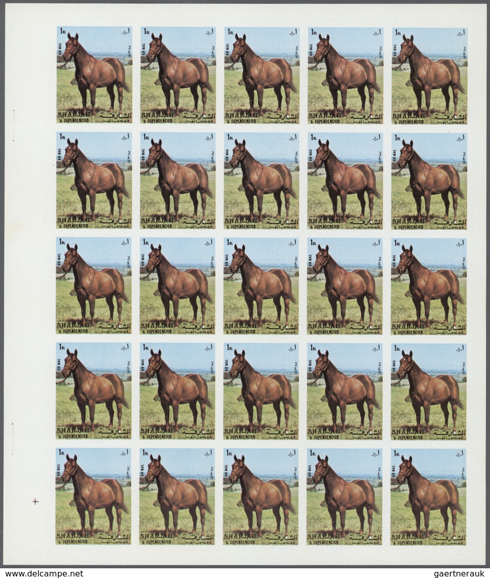 ** Thematik: Tiere-Pferde / Animals-horses: 1972. Sharjah. Progressive Proof (7 Phases) In Complete She - Chevaux