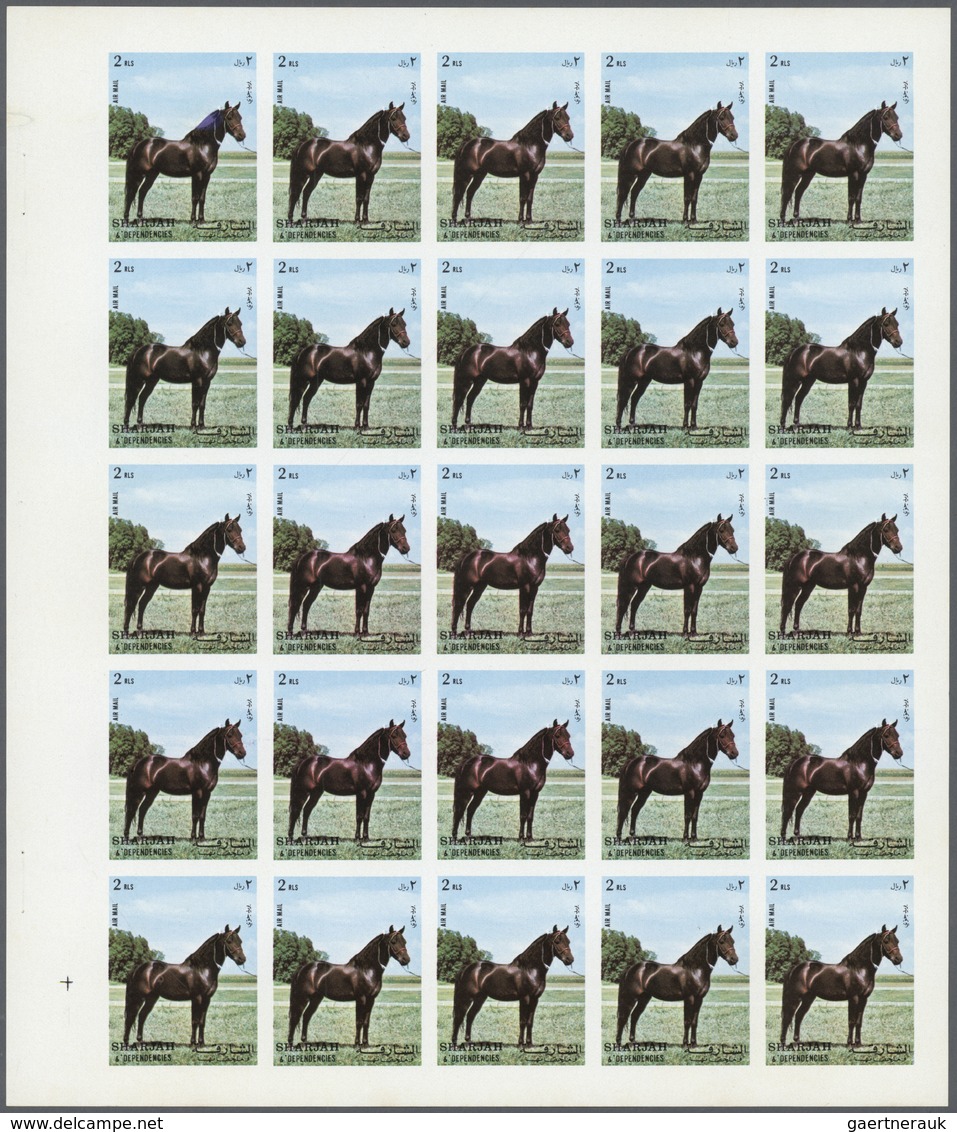** Thematik: Tiere-Pferde / Animals-horses: 1972. Sharjah. Progressive Proof (6 Phases) In Complete She - Chevaux